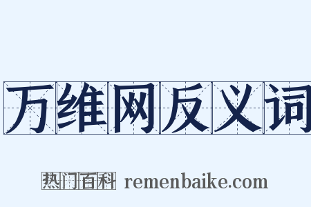 万维网反义词是什么意思的图片